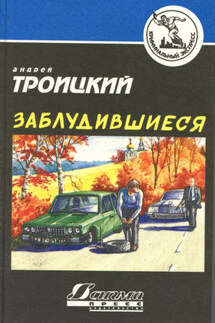 Заблудившиеся - Андрей Троицкий