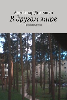 В другом мире - Александр Долгушин