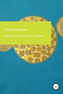 Чистый Разум или Память о Предках - Просто Мадина