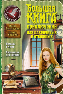 Большая книга приключений для находчивых и отважных (сборник) - Илона Волынская, Кирилл Кащеев