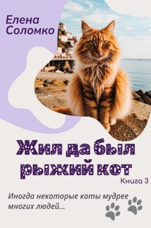 Жил да был рыжий кот - Елена Соломко