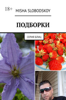 Подборки. Серия блиц - Misha Slobodskoy