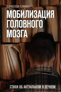 Мобилизация головного мозга. Об актуальном и вечном - Вячеслав Климин