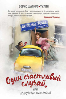 Один счастливый случай, или Бобруйские жизнелюбы - Борис Шапиро-Тулин