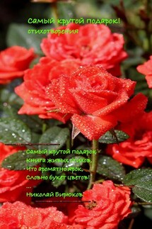Самый крутой подарок! Стихотворения - Николай Бирюков