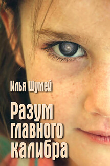 Разум главного калибра - Илья Шумей