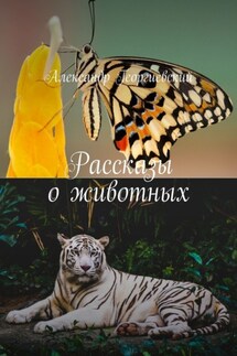 Рассказы о животных - Александр Георгиевский