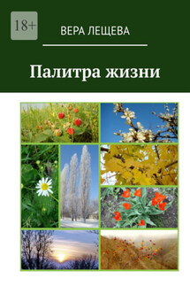 Палитра жизни - Вера Лещева