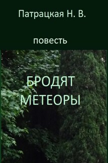 Бродят метеоры - Патрацкая Н.В.