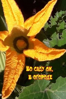 Во саду ли, в огороде - Н. Козлова