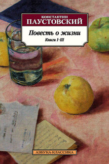 Повесть о жизни. Книги I–III - Константин Паустовский