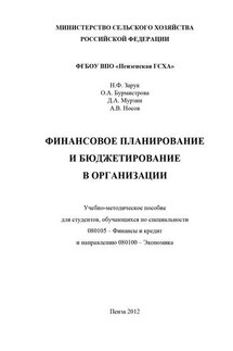 Финансовое планирование и бюджетирование в организации - Наталья Фёдоровна Зарук, Денис Александрович Мурзин