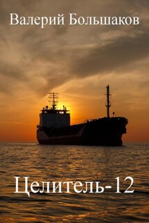 Целитель-12 - Валерий Большаков