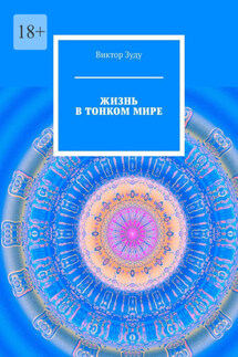 Жизнь в тонком мире - Виктор Зуду