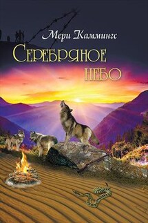 Серебряное небо - Мери Каммингс