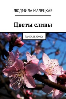 Цветы сливы. Танка и хокку - Людмила Малецкая