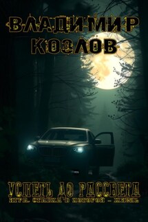 Успеть до рассвета - Владимир Козлов