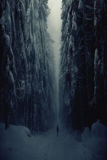 Форточка в «Счастье» - Бирюков Евгеньевич