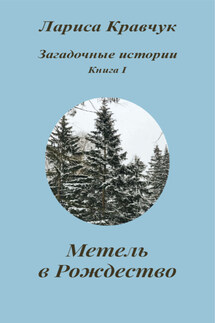 Загадочные истории. Книга I. Метель в Рождество - Лариса Кравчук