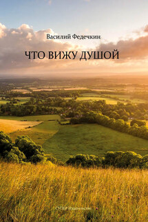 Что вижу душой (сборник) - Василий Федечкин