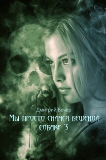 Мы просто снимся бешеной собаке 3 - Дмитрий Вечер