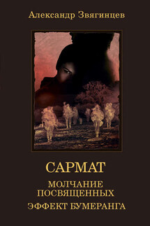 Молчание посвященных. Эффект бумеранга (сборник) - Александр Звягинцев