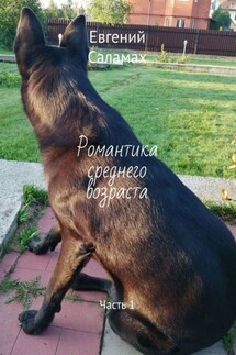 Романтика среднего возраста. Часть 1 - Евгений Саламах