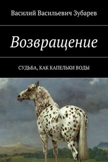 Возвращение. Судьба, как капельки воды - Василий Зубарев