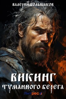 Викинг туманного берега - Валерий Большаков
