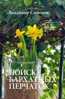 Поиск бархатных перчаток. Серия книг поэтической философии миропонимания новой эпохи - Владимир Симонов