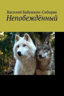 Непобеждённый - Василий Бабушкин-Сибиряк