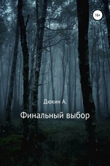Финальный выбор - Айдар Дюкин