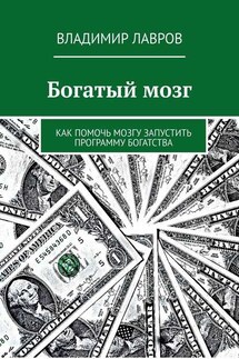 Богатый мозг. Как помочь мозгу запустить программу богатства - Владимир Лавров