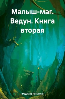 Малыш-маг. Ведун. Книга вторая - Владимир Поселягин