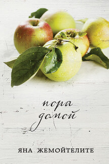 Пора домой (сборник) - Яна Жемойтелите