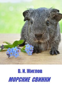 Морские свинки - В. Жиглов
