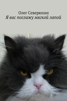 Я вас поглажу мягкой лапой - Олег Северюхин