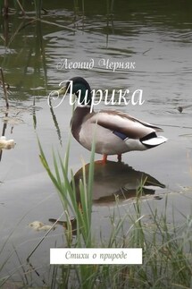 Лирика. Стихи о природе - Леонид Черняк