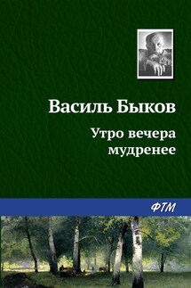 Утро вечера мудренее - Василий Быков