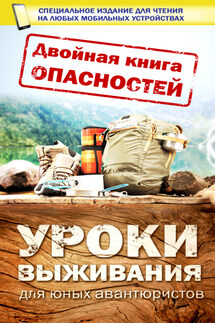 Двойная книга опасностей. Уроки выживания юных авантюристов - Дарья Ермакович
