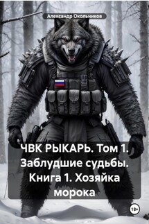 ЧВК РЫКАРЬ. Том 1. Заблудшие судьбы. Книга 1. Хозяйка морока - Александр Окольников
