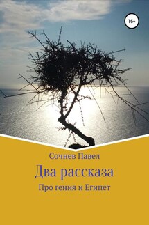 Два рассказа - Павел Сочнев