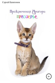 Приключения Арагора. Приозерье. - Сергей Капитонов