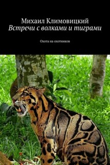 Встречи с волками и тиграми. Охота на охотников - Михаил Климовицкий