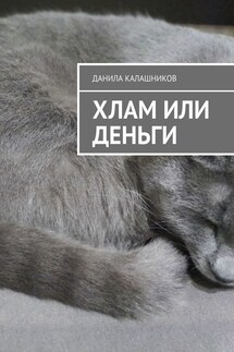 Хлам или деньги - Данила Калашников