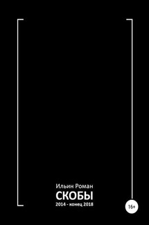 Скобы 2014 – конец 2018 - Роман Ильин