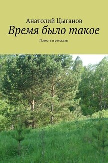 Время было такое. Повесть и рассказы - Анатолий Цыганов