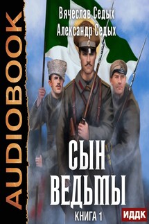 Сын ведьмы. Книга 1 - Седых Александр
