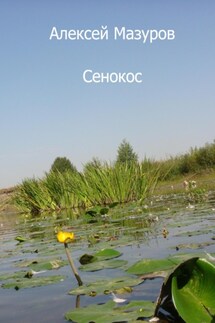 Сенокос - Алексей Мазуров