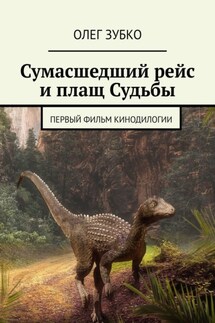 Сумасшедший рейс и плащ Судьбы. Первый фильм кинодилогии - Олег Зубко